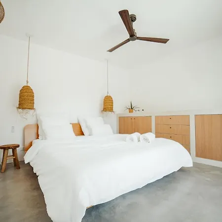 Andrea אוסטוני